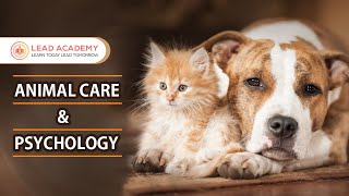 Animal Care and Psychology